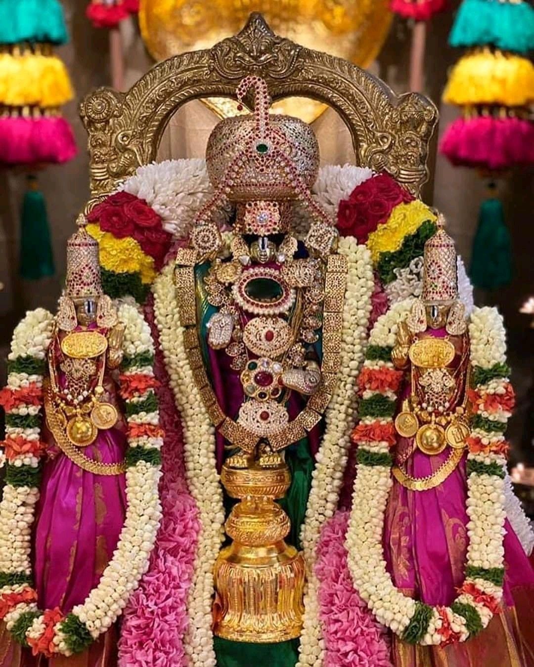 Srivani Darshan Package Chennai