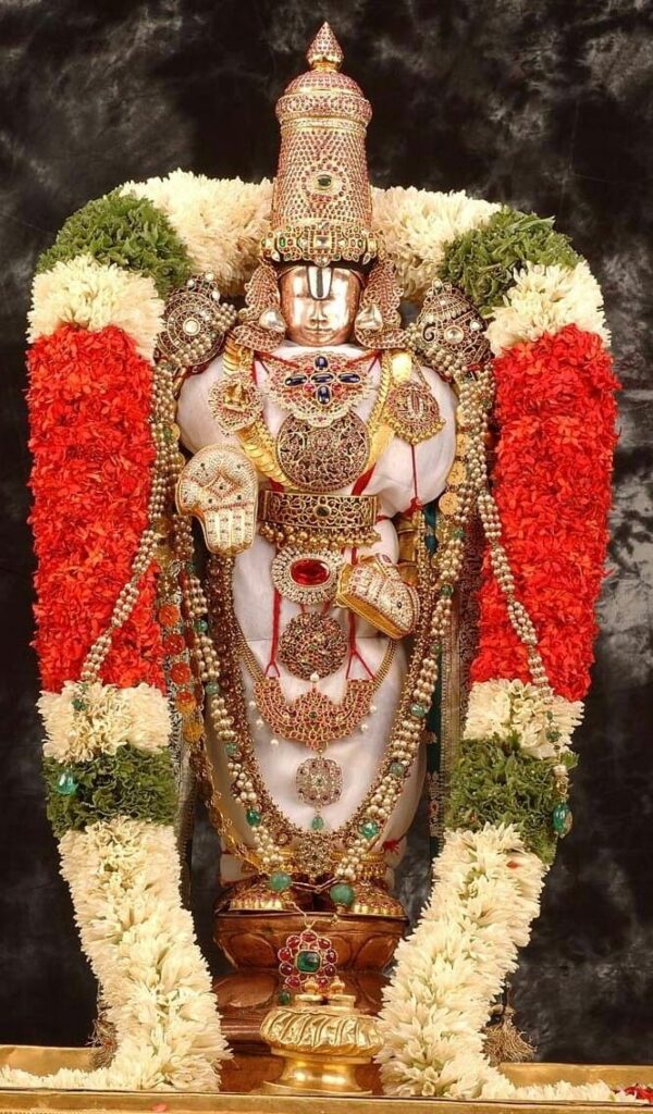 Srivani Darshan Timings & Packages from Chennai