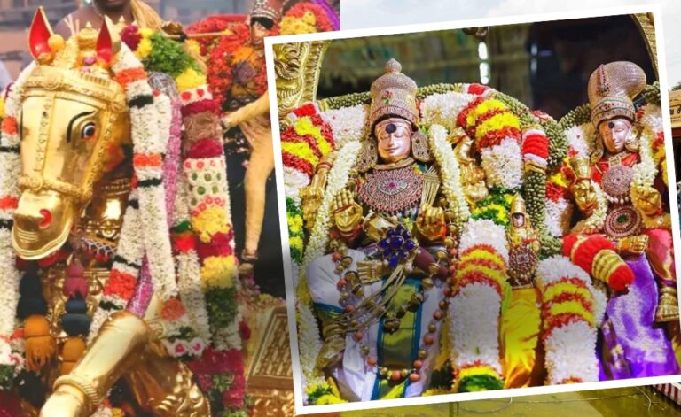 Srivani Break Darshan