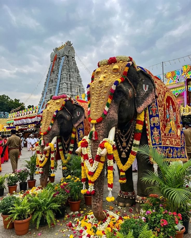 Book Online Srivani Darshan Without Missing