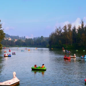 2022_0504_17361200-2