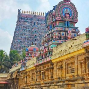 WhatsApp Image 2025-11-11 at 1.51.05 PM