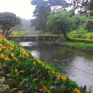 balaji-travels-coimbatore-munnar-blossom-hydel-park