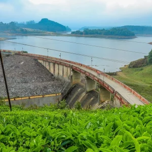 balaji-travels-coimbatore-munnar-mattupetty-dam