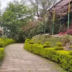 balaji-travels-coimbatore-munnar-rose_garden