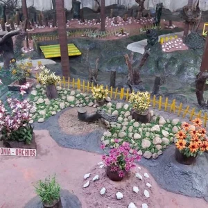 balaji_tours_chennai_ooty-tour_inside-thread-garden