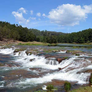 balaji_tours_chennai_ooty-tour_pykara-falls-water-flow