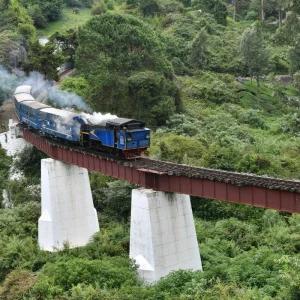 balaji_tours_chennai_ooty-tour_toy-train
