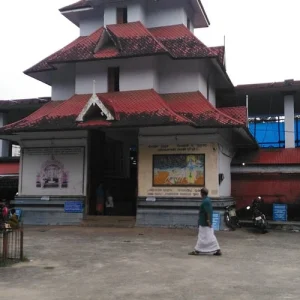 balaji_travels_parthasarathy-temple