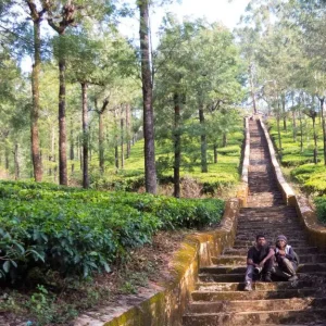 balajitourschennai_chinnkallar-falls