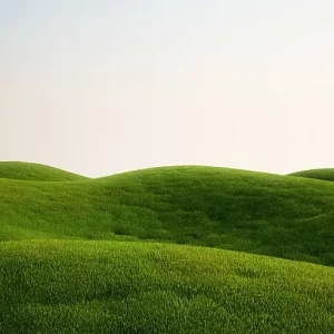balajitourschennai_gross_hills
