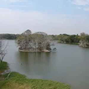 balajitourschennai_karanji-lake