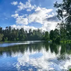 balajitourschennai_kodaikanal-lake