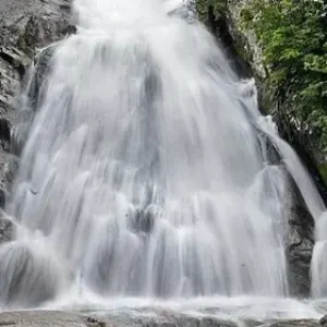 balajitourschennai_monkey-waterfalls