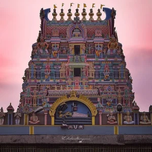 one-day-chennai-to-thiruthani-sightseeing-tour-package-by-car-veera-ragava-temple