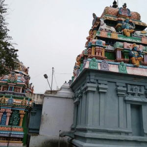 thanjain 1